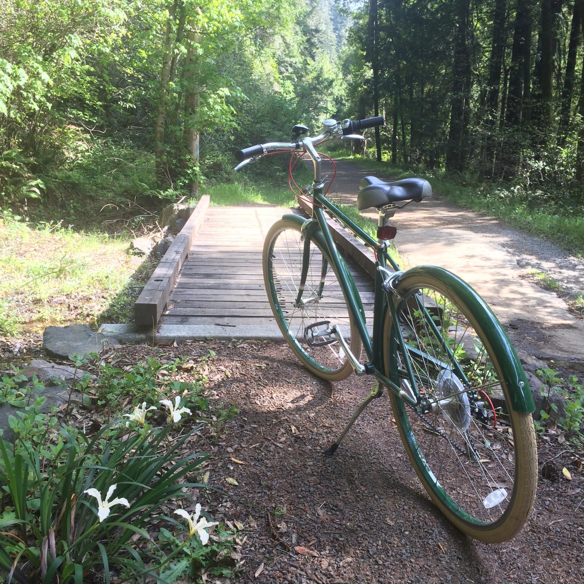 2014 PUBLIC bikes V7 Green