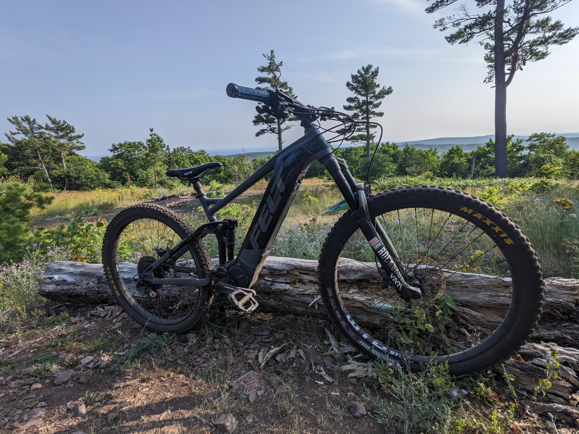 2020 Felt Redemption E 30 Silver, gray or bare metal and Black