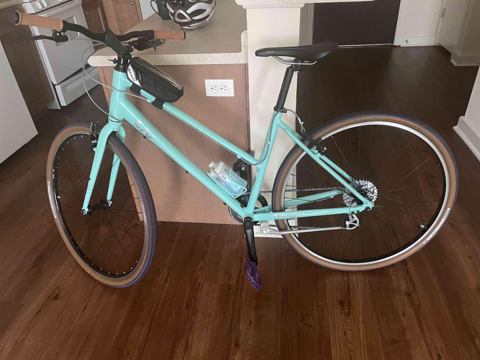 2019 Liv Alight Blue