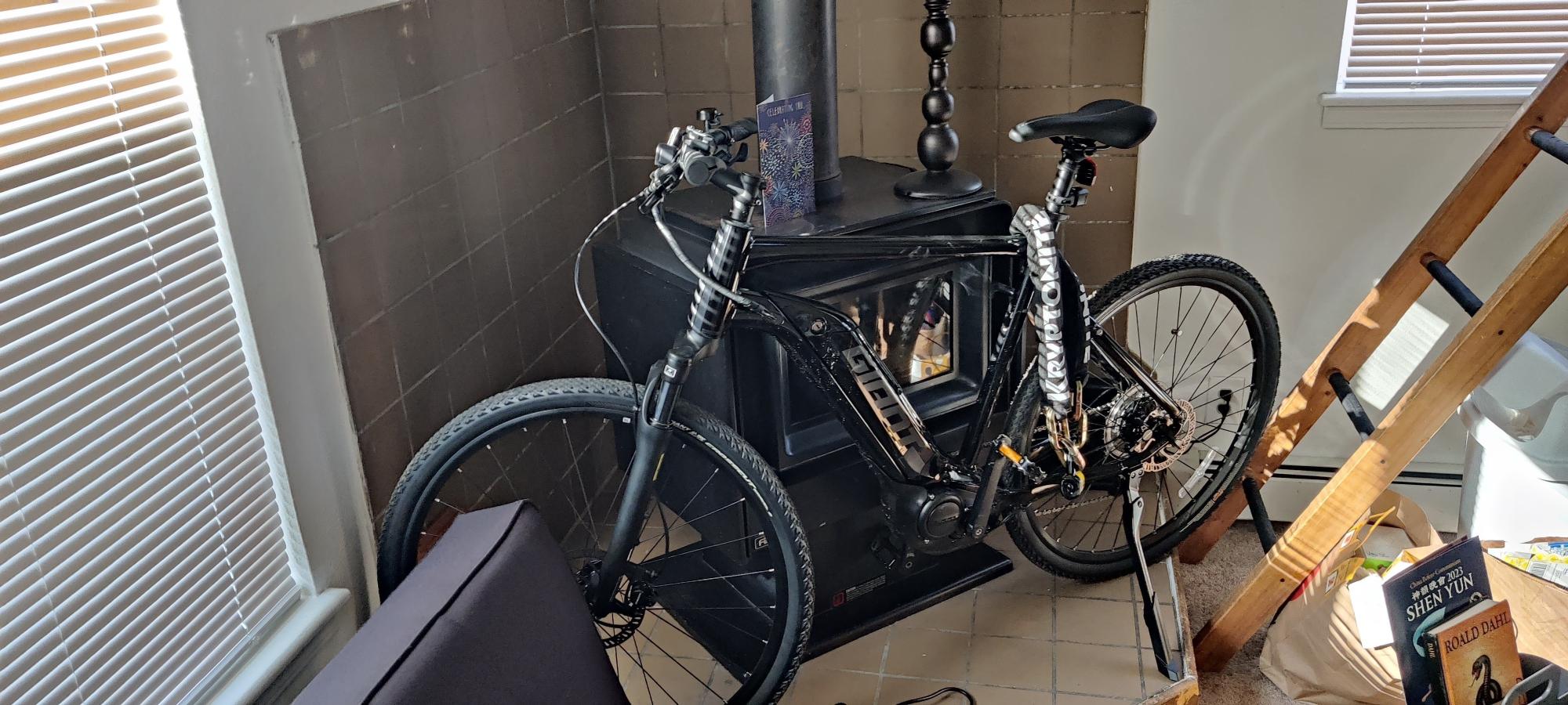 2021 Giant Roam E+ Black