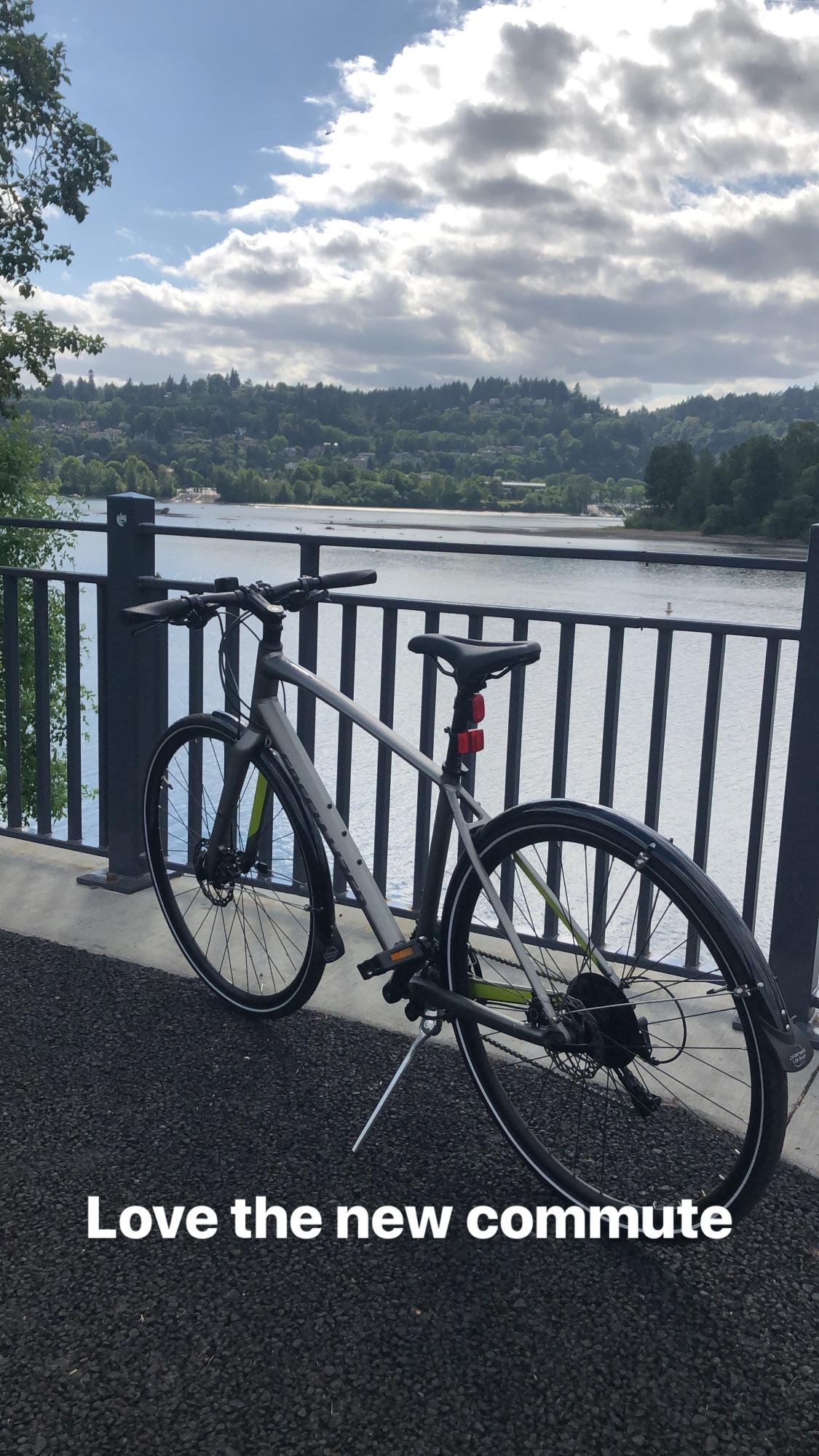 2019 Specialized Sirrus SL Silver, gray or bare metal