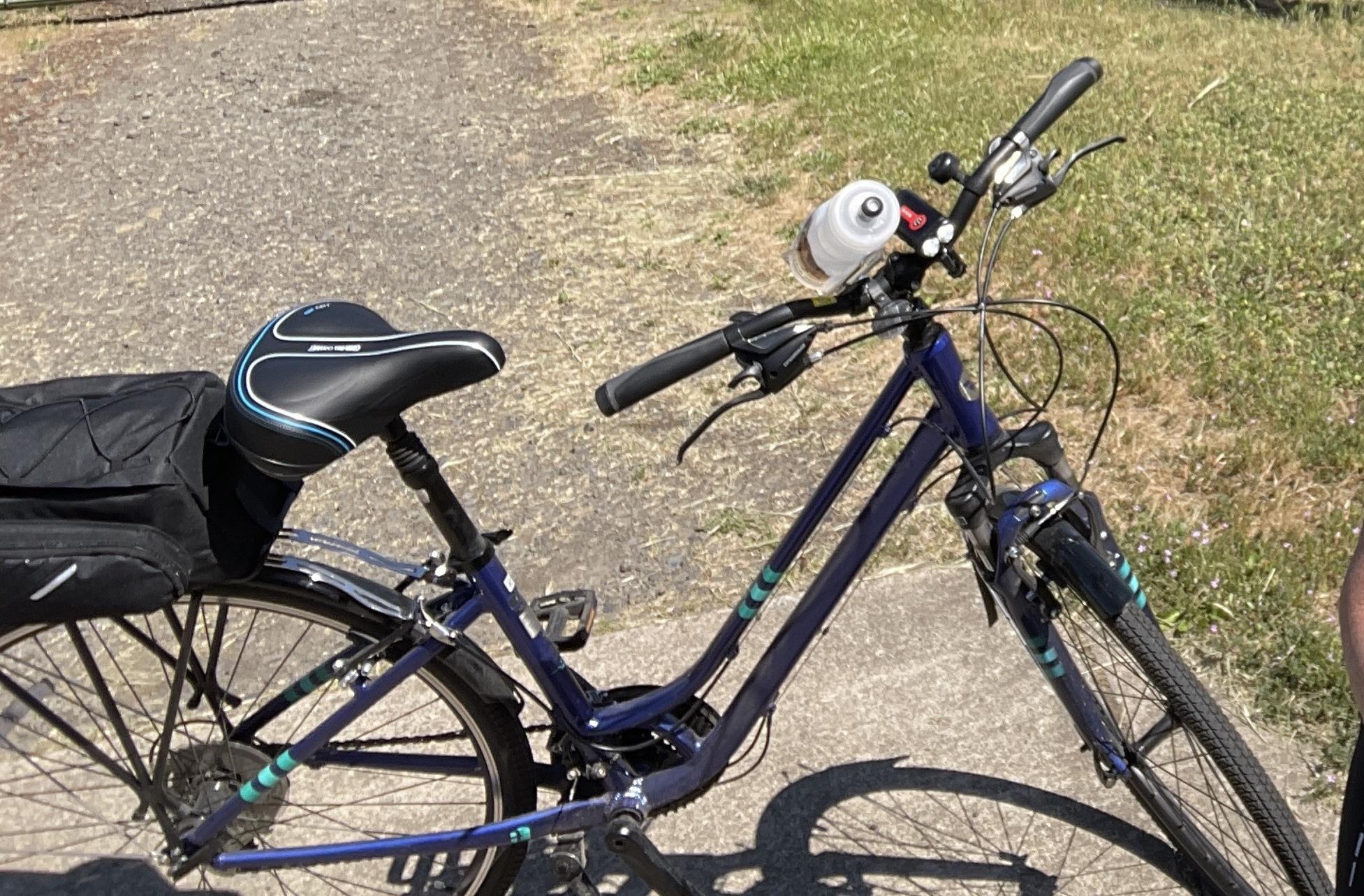 2020 Giant Flourish Blue