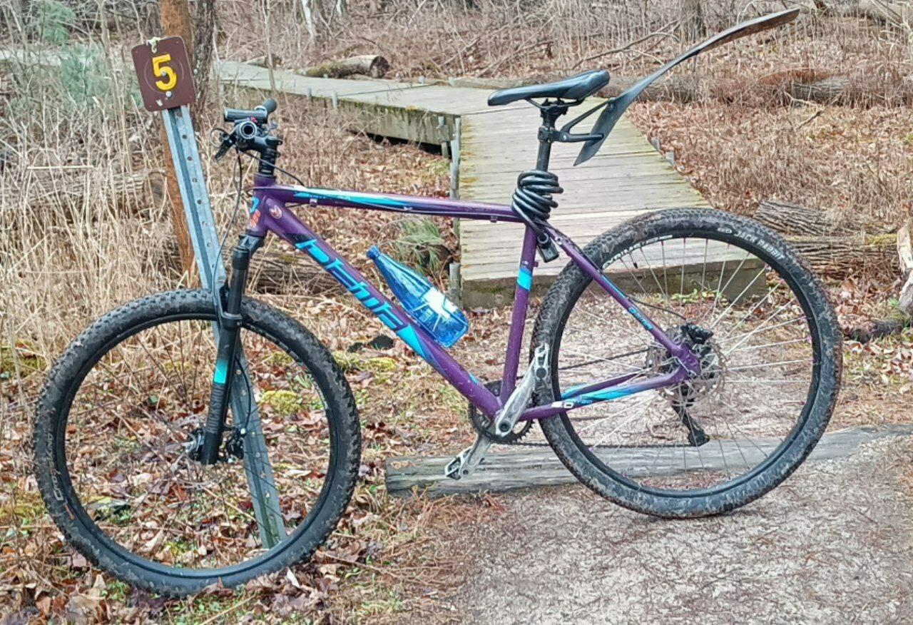 2015 DEMA RAVEO 9.0 DEMA Sport 29 Alloy 6061-T6 Double Bu... Purple and Blue