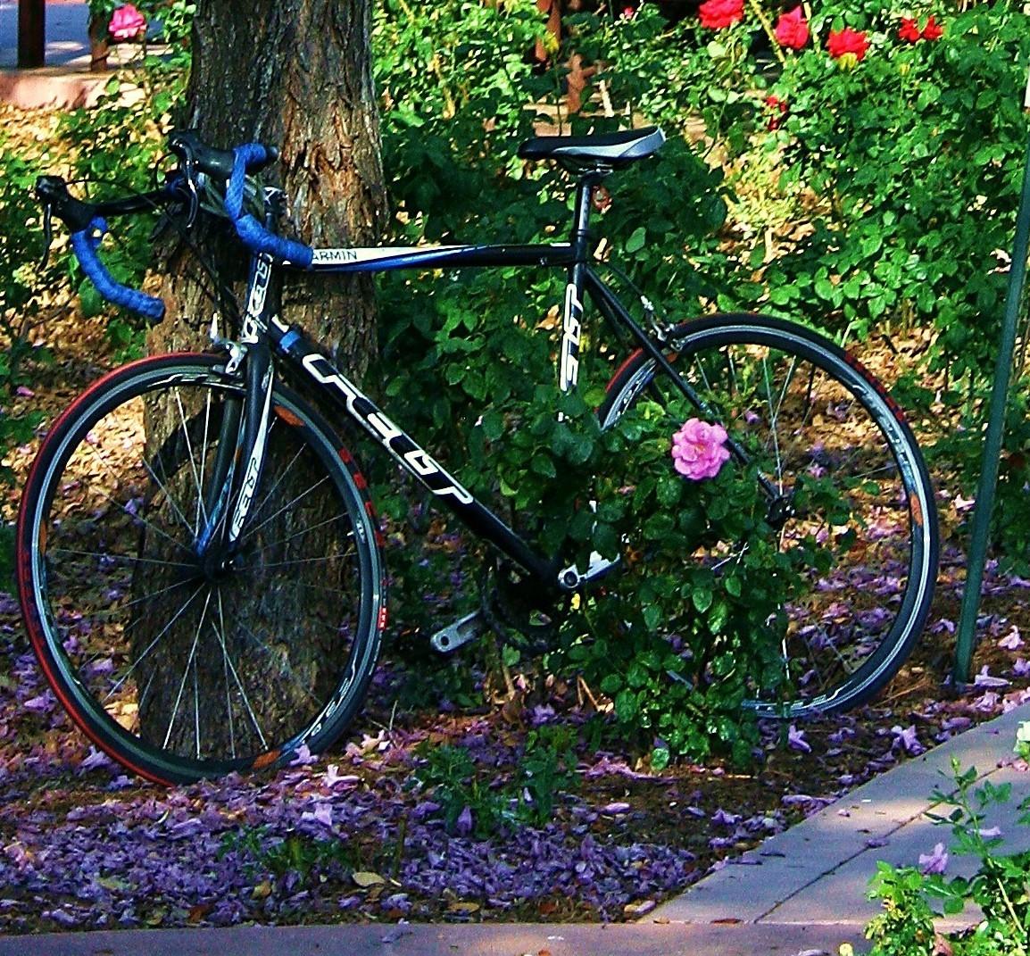 2015 Felt Garmin Black