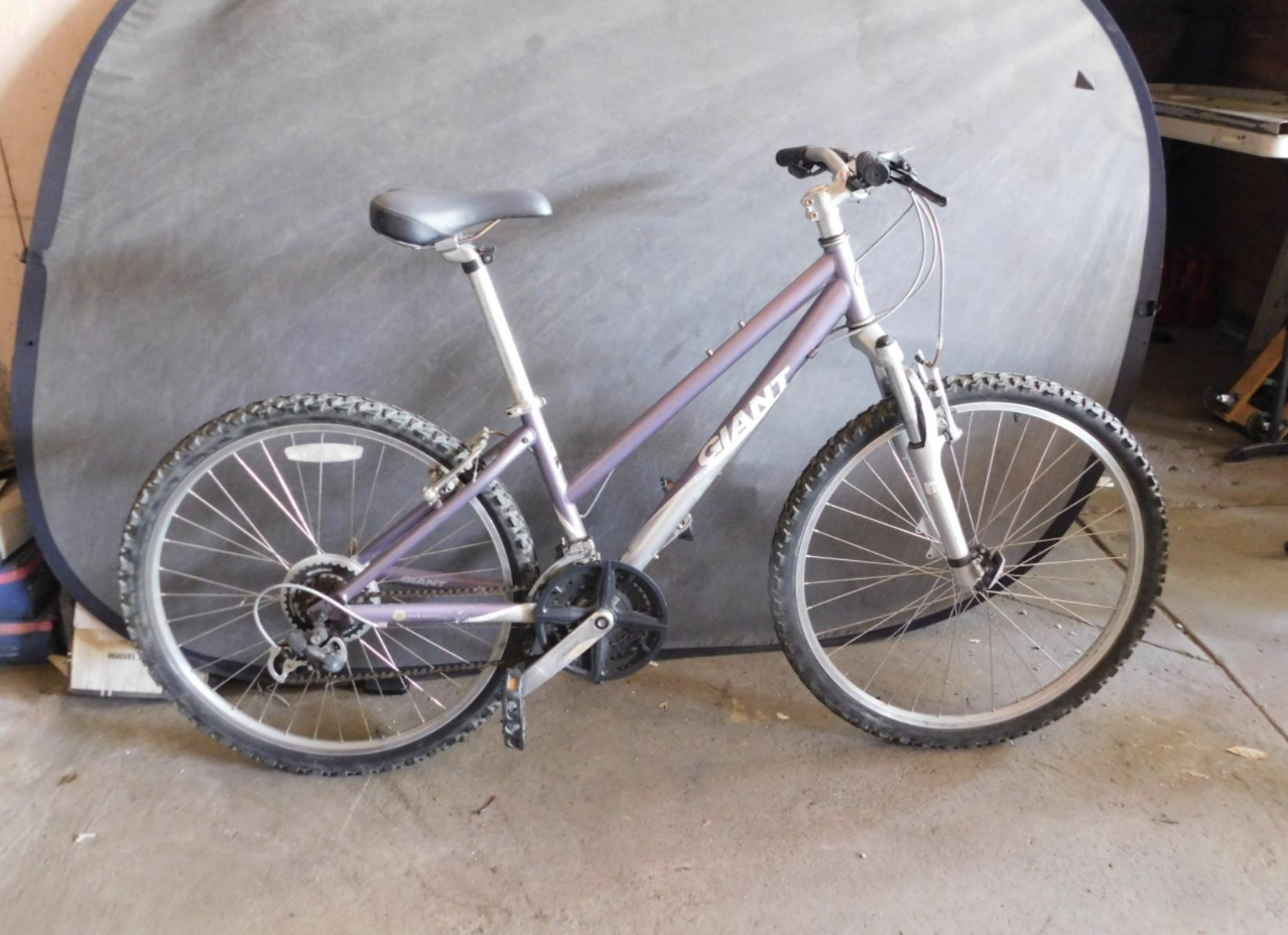 Giant Boulder w Purple/Silver Purple and Silver, gray or bare metal