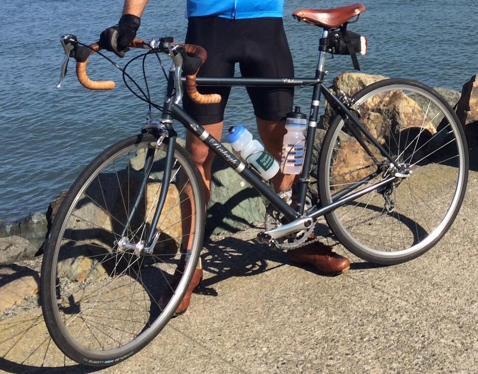 2009 Raleigh Clubman Blue