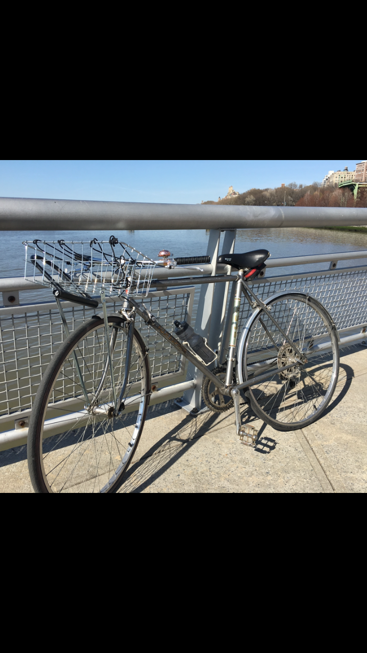 1972 Fuji Ace Silver or Gray