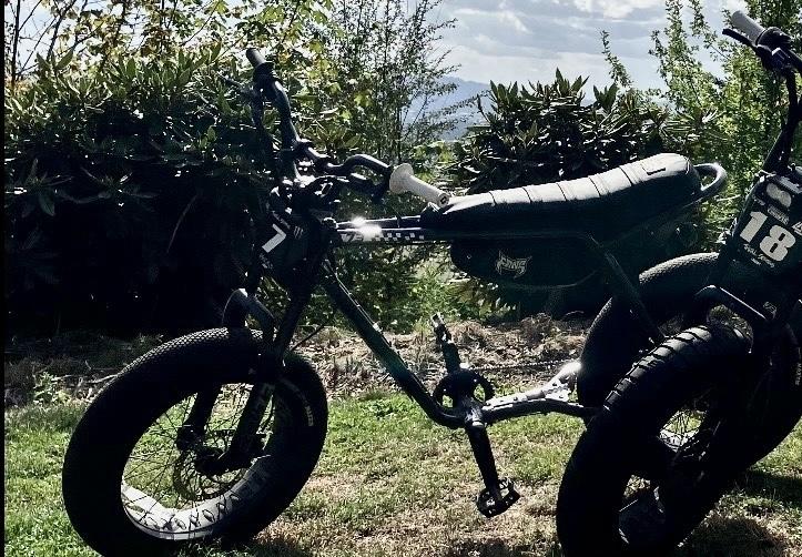 2025 Super73 Silver, gray or bare metal