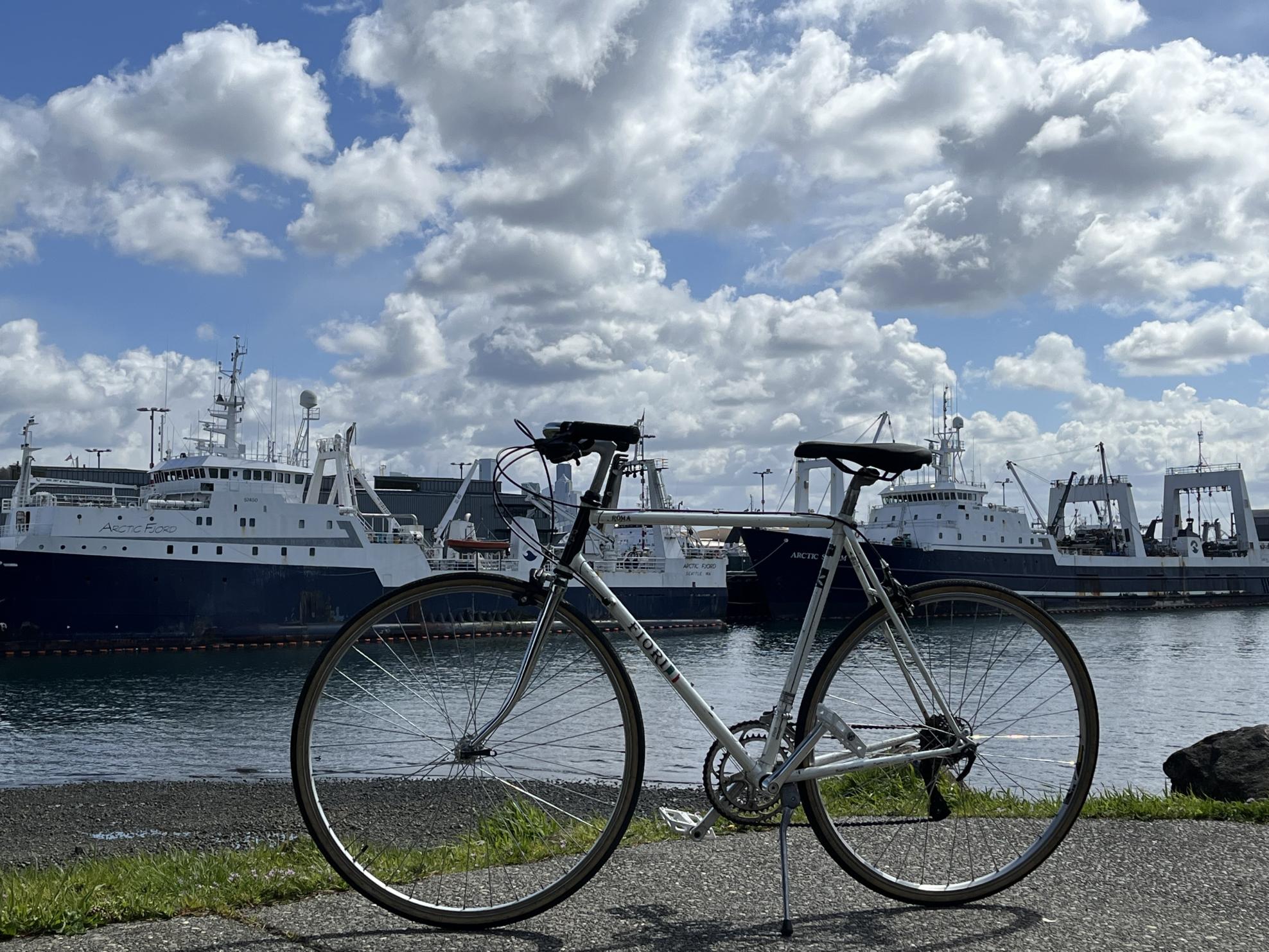 Norco Bikes Fiori Roma White