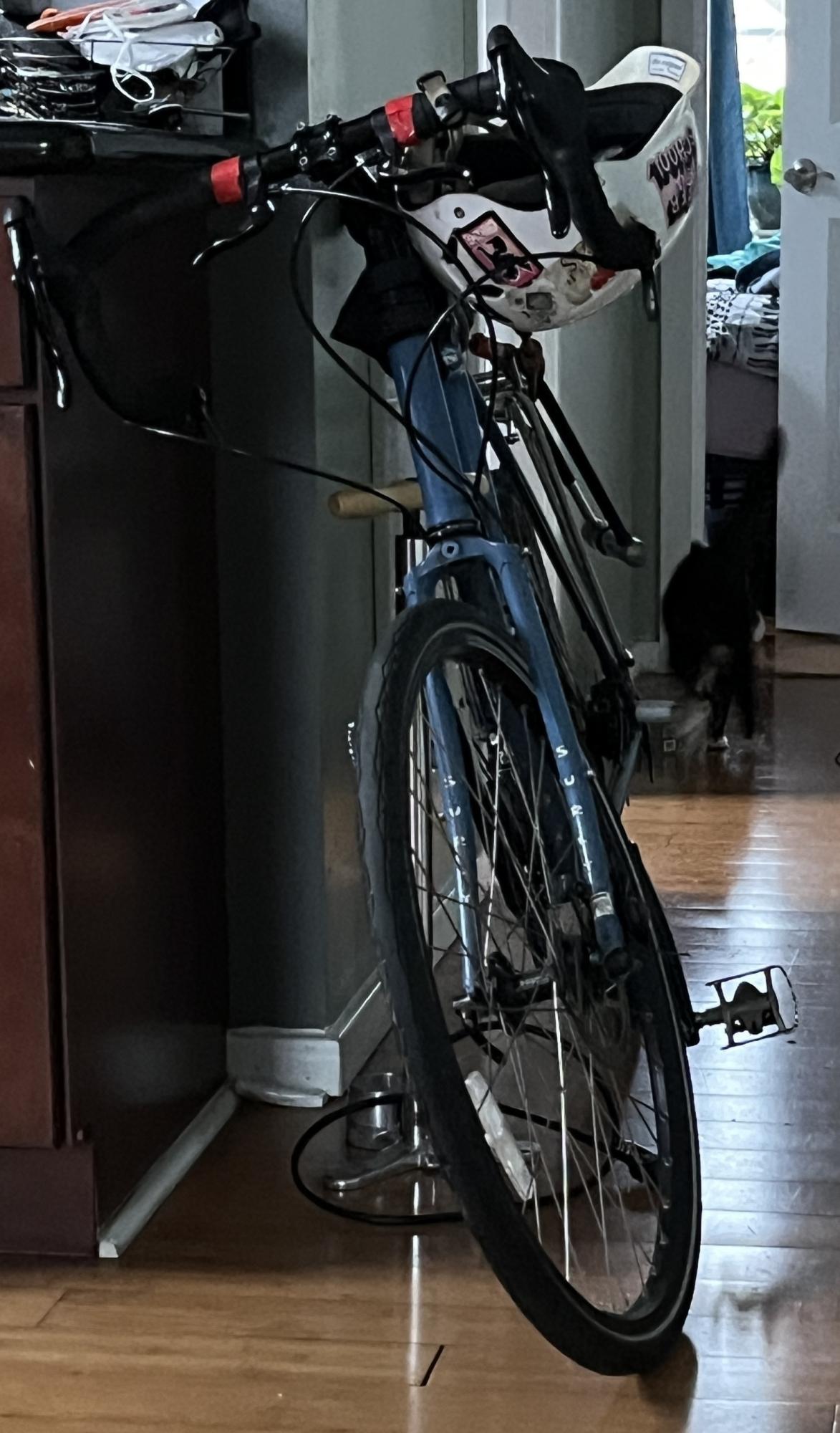 2016 Surly Disc trucker Blue