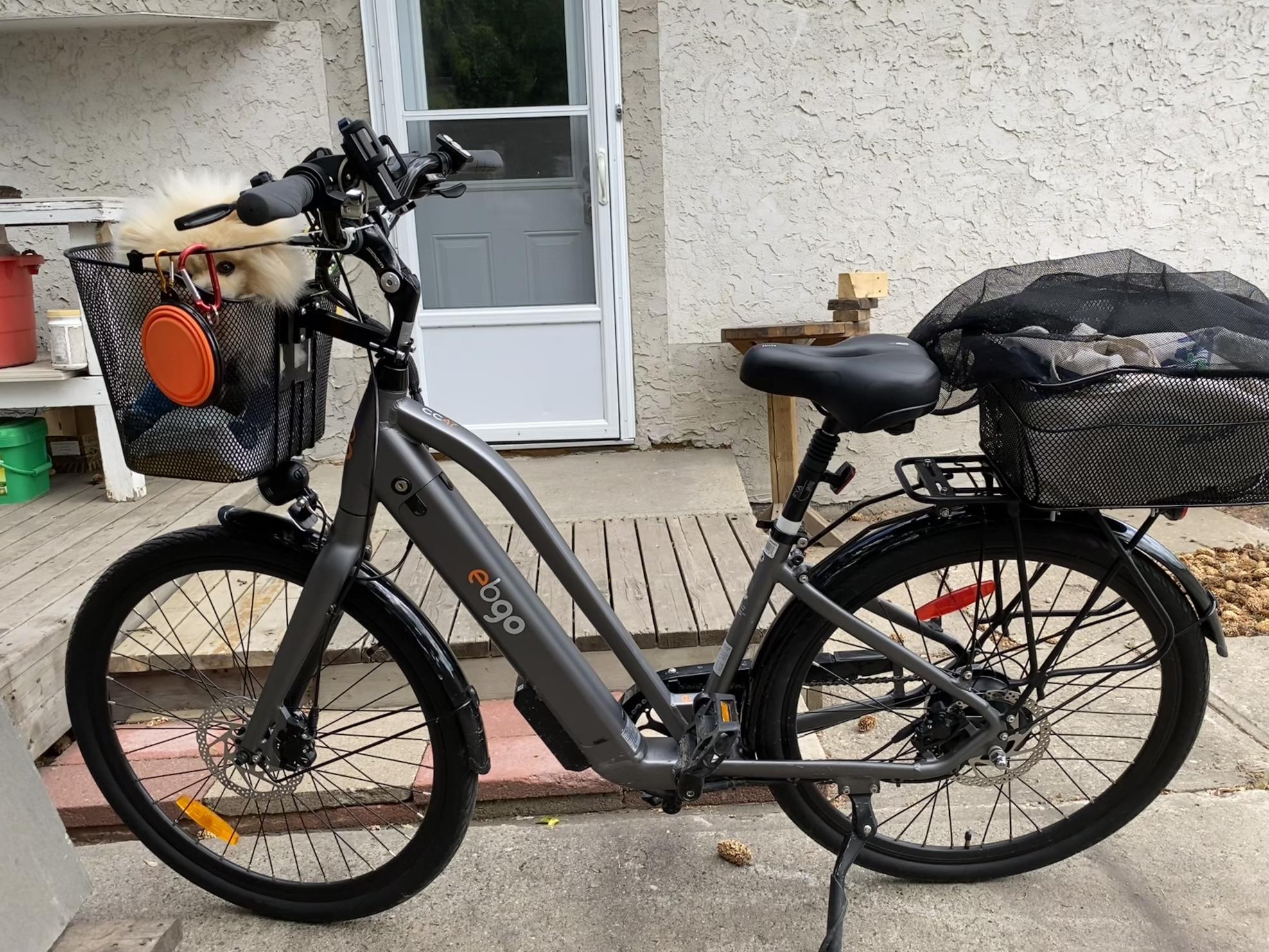 2022 Ebgo Standard Silver, gray or bare metal