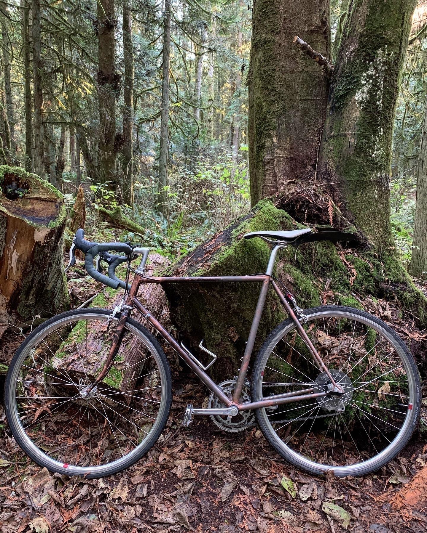 Davidson Road Silver, gray or bare metal, Black, and Brown