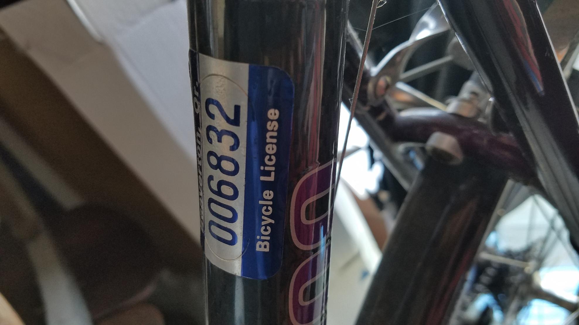Trek Multi-trek Purple