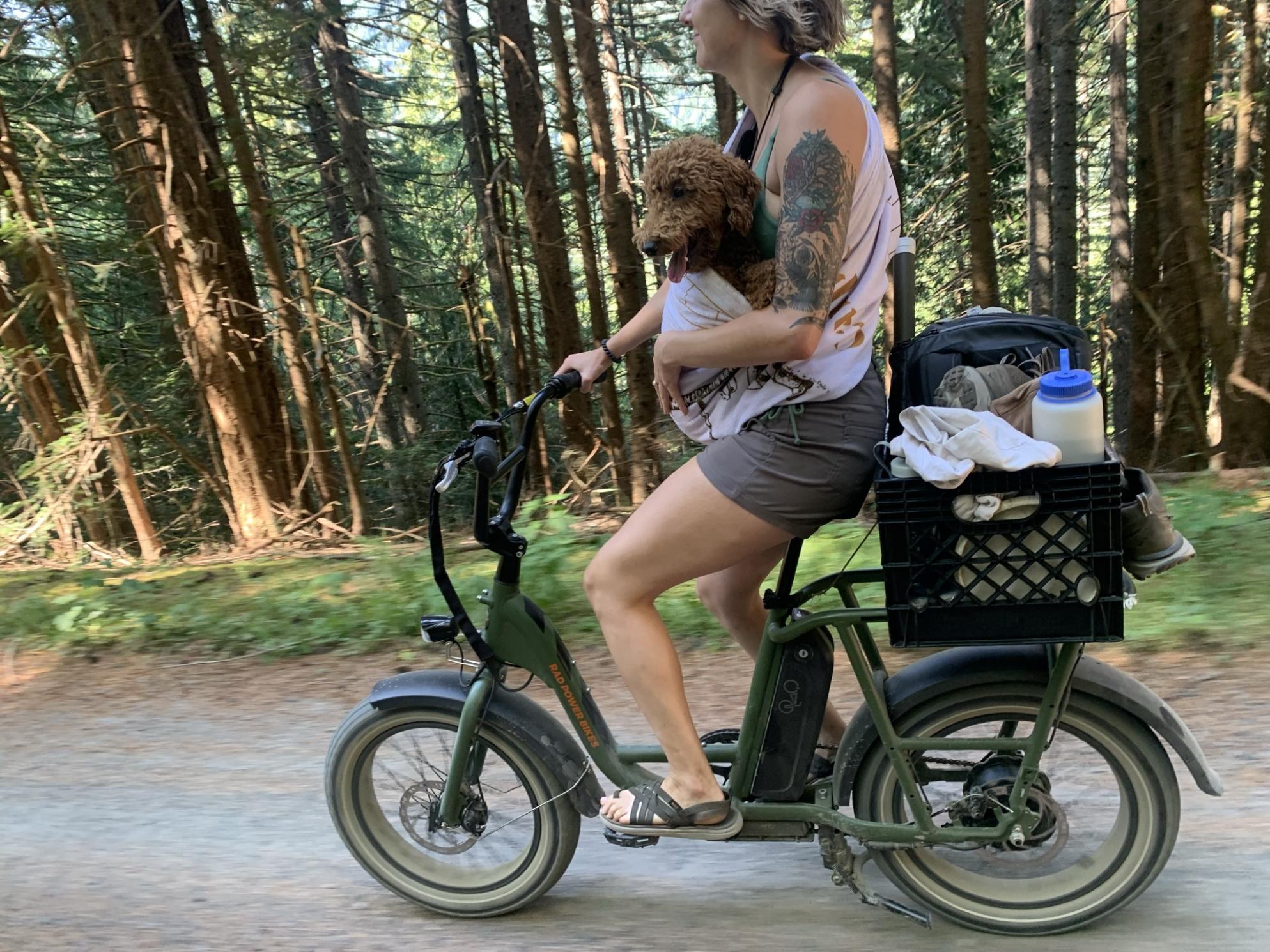 2020 Rad Power Bikes Radrunner2 Green