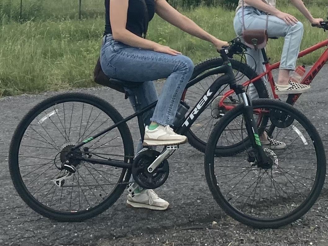 2017 Trek Dual Sport 2 Black
