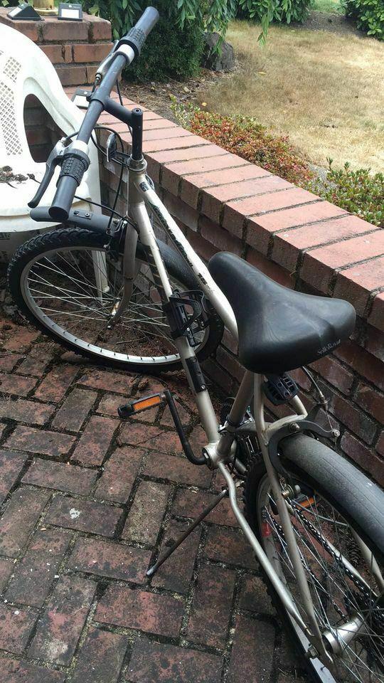 Huffy Silver, gray or bare metal