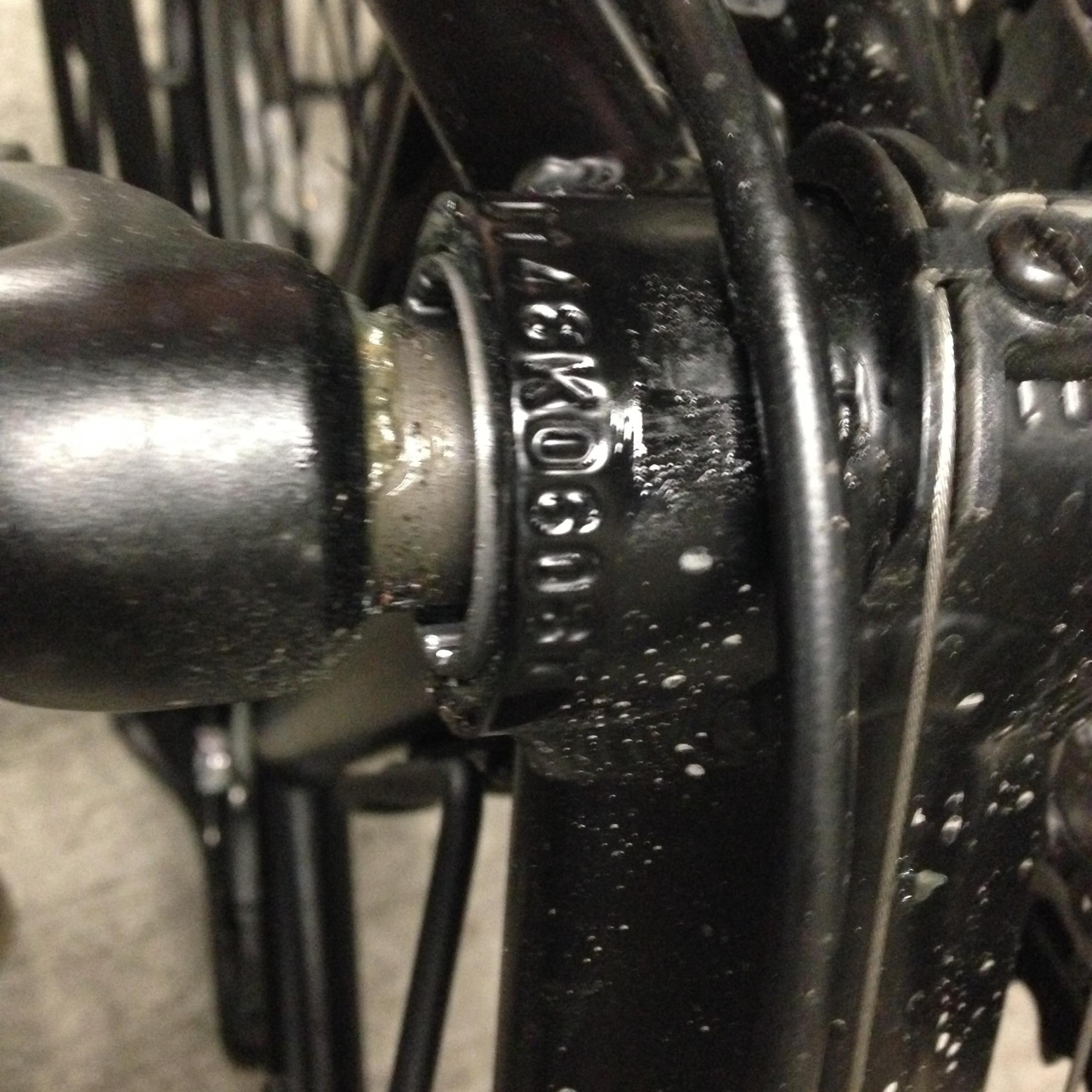 2015 Novara Big Buzz Black