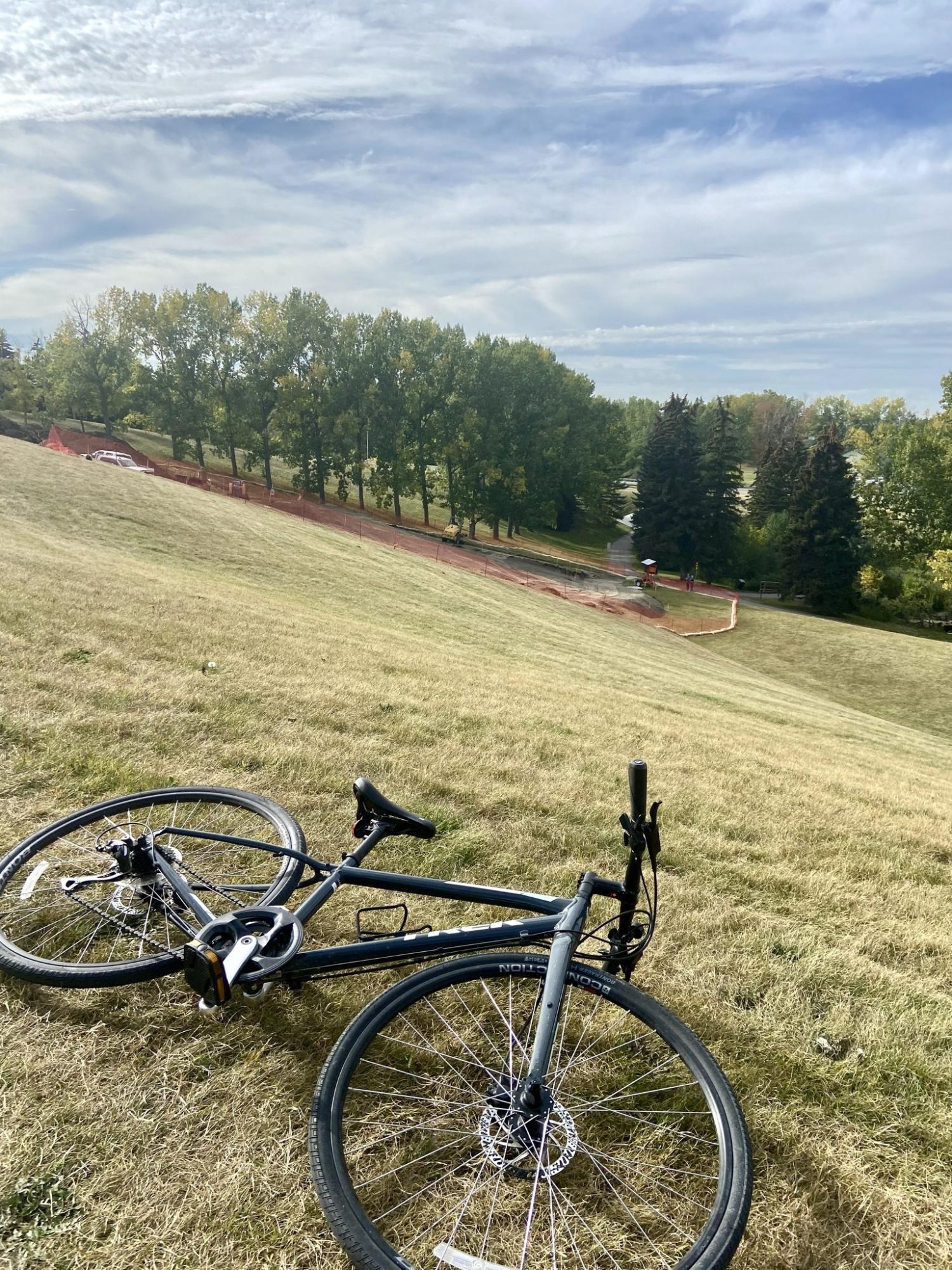2019 Trek FX2 Silver, gray or bare metal
