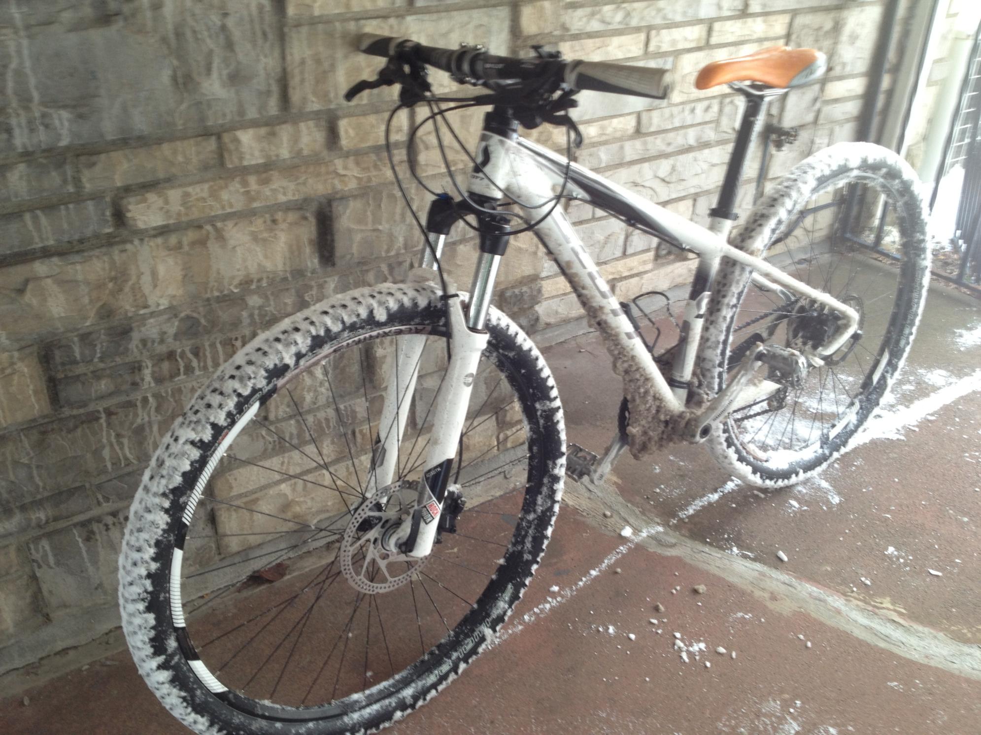 2012 SCOTT 29 Team  White