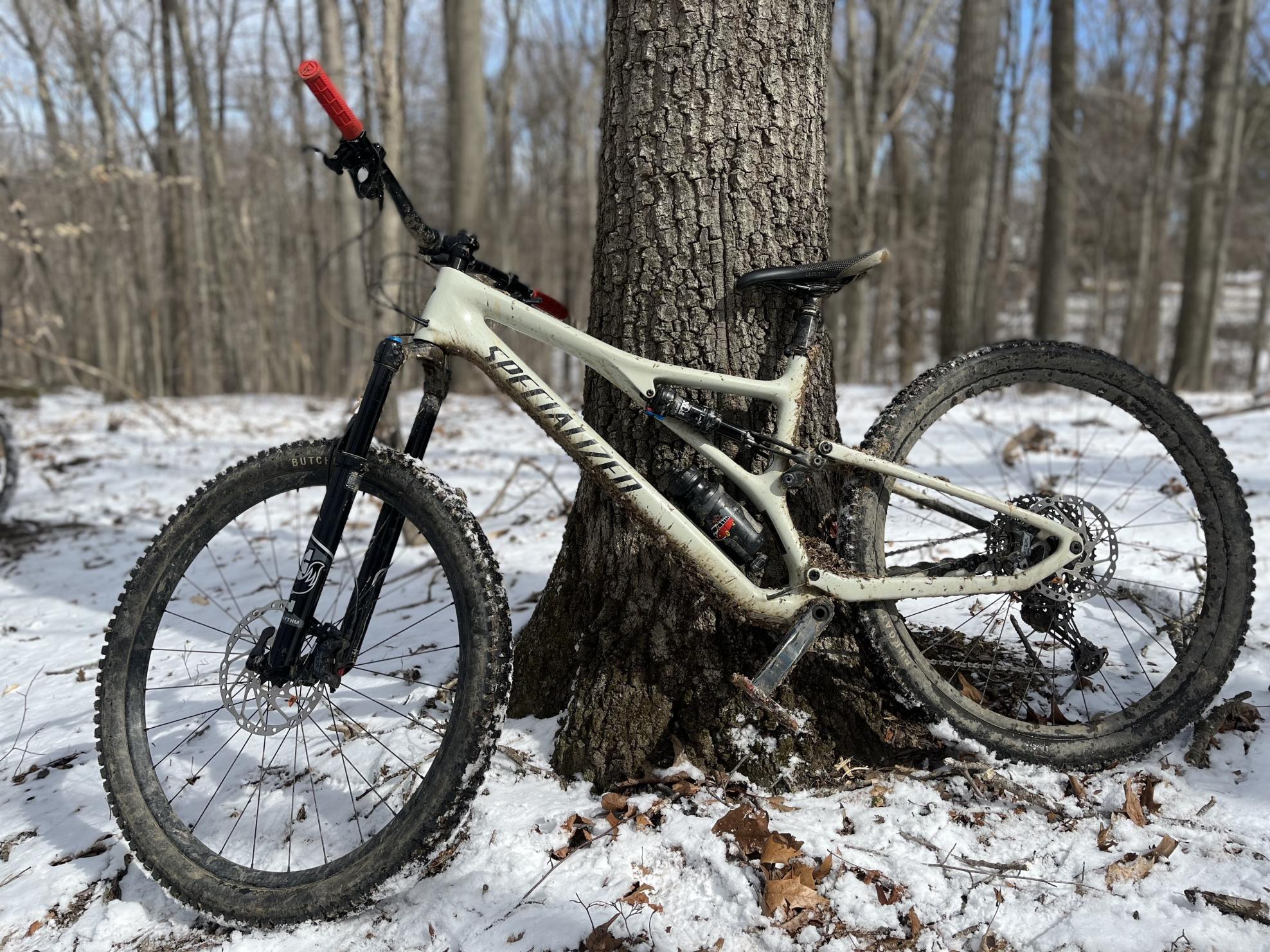 2021 Specialized Stumpjumper Silver, gray or bare metal