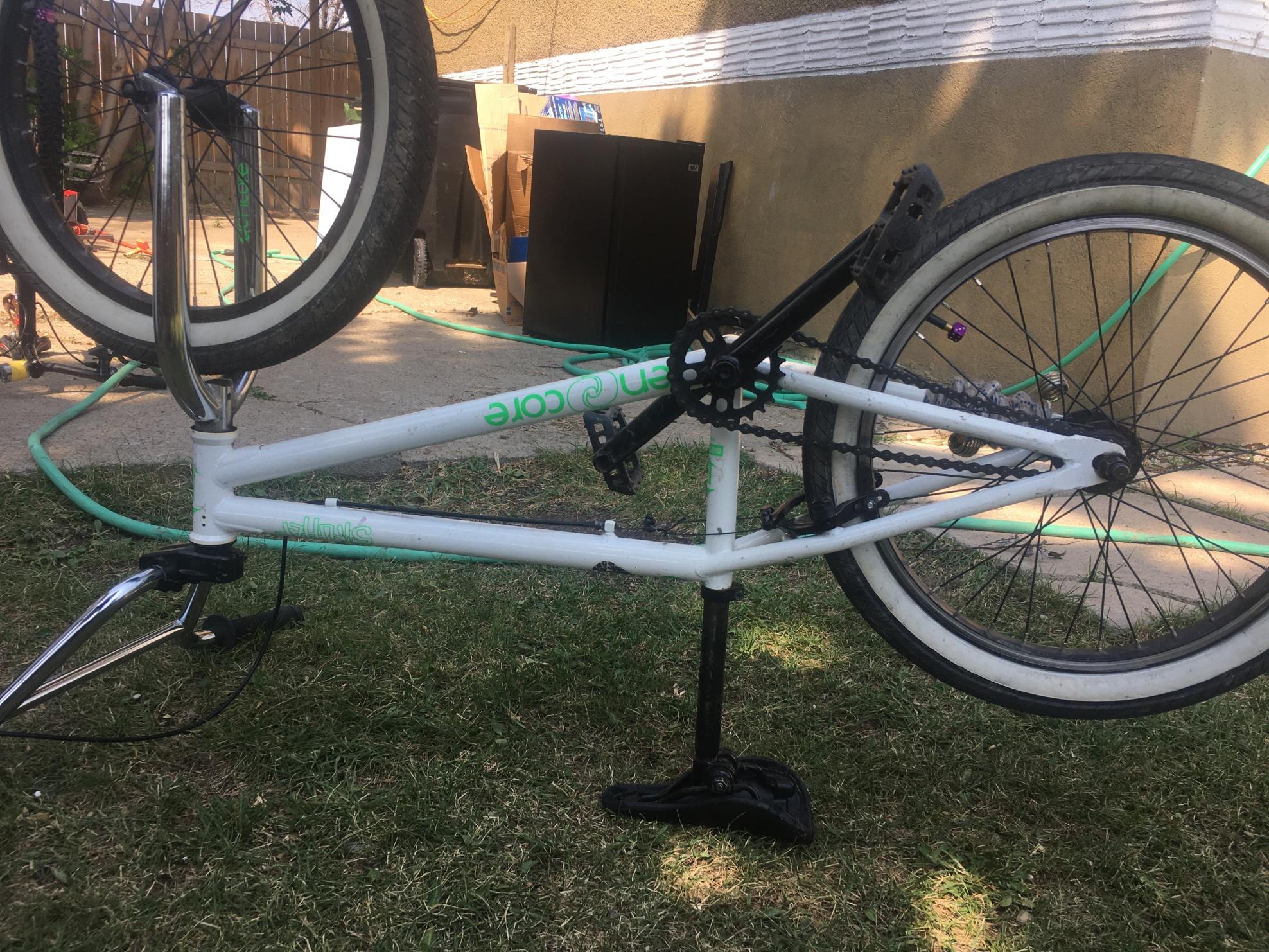 2013 Encore Strutter White and Green