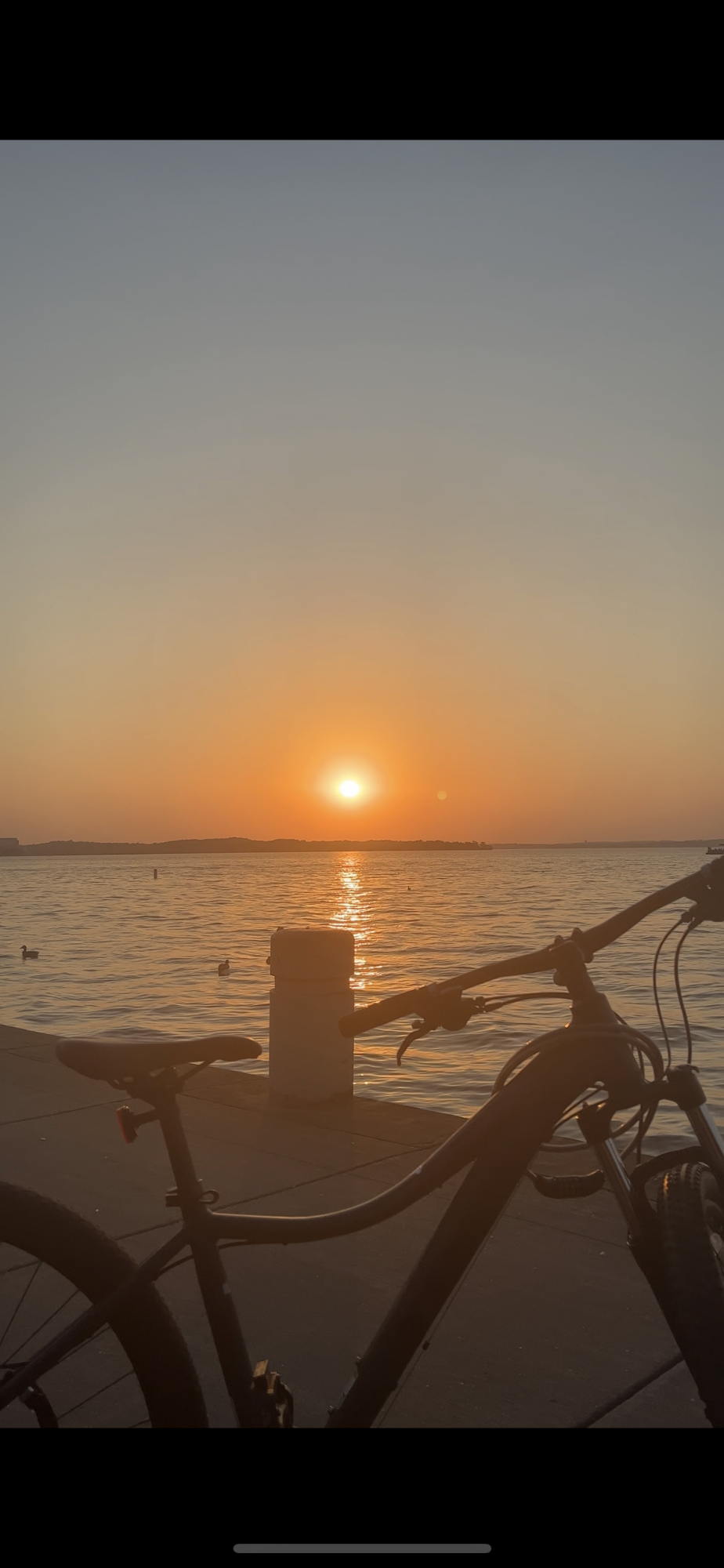 Trek Silver, gray or bare metal