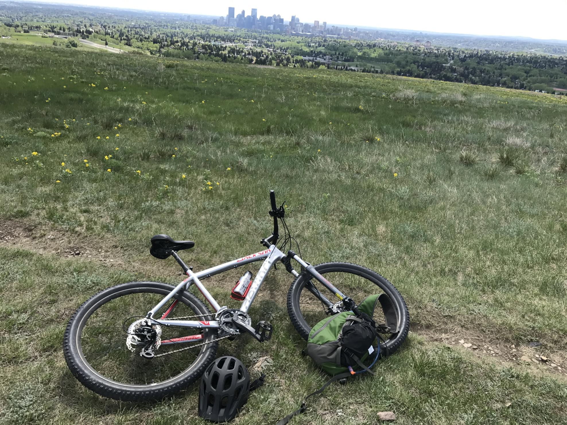 2015 Devinci Jackson S 2015 Large Silver, gray or bare metal