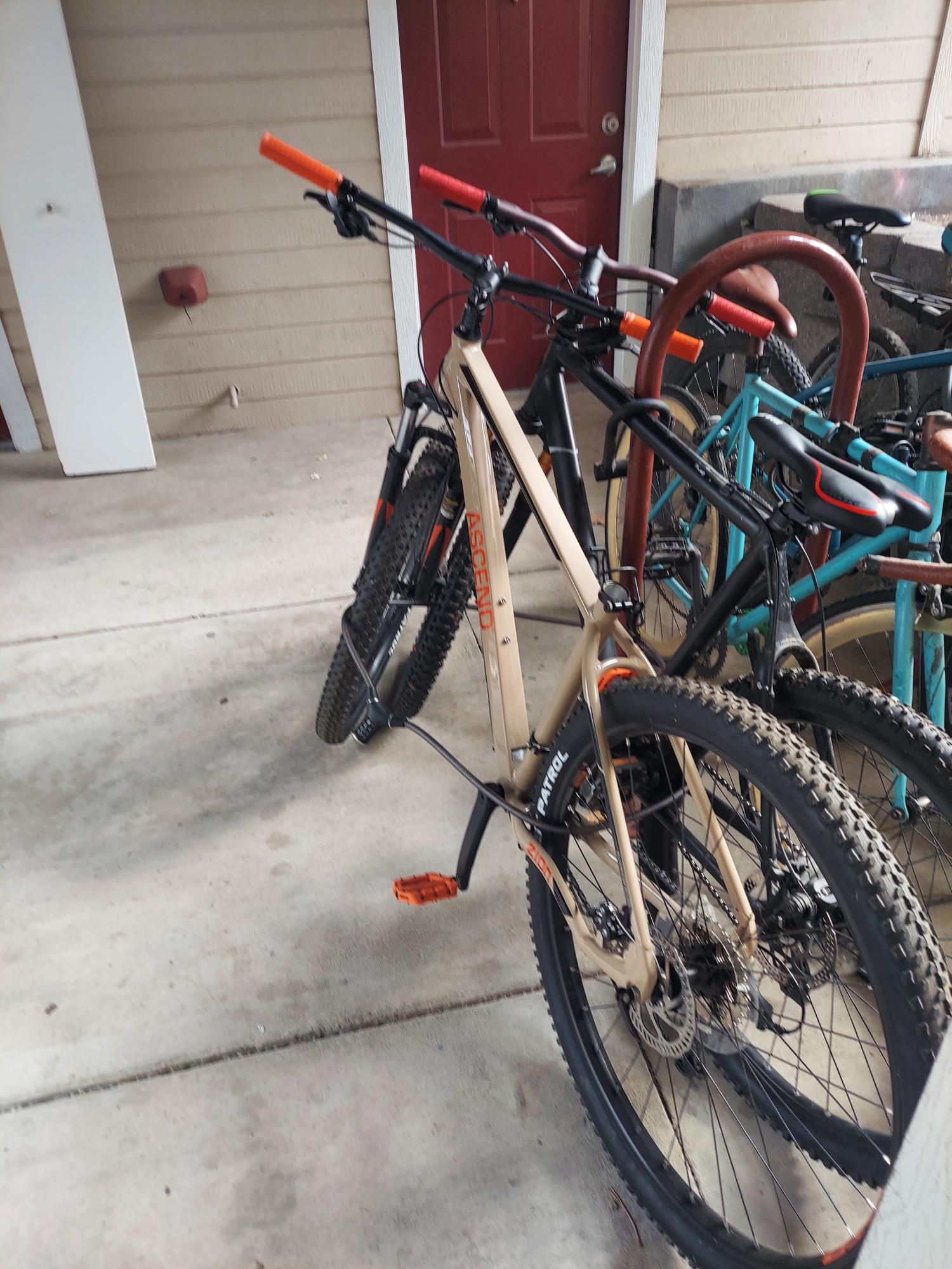 2022 Ascend Zion Brown