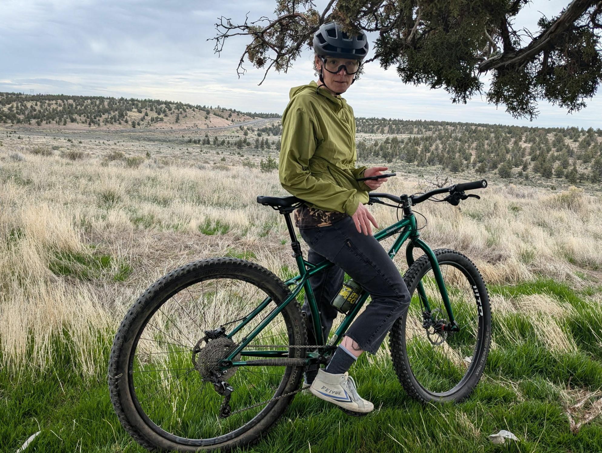 2015 Surly Krampus Green
