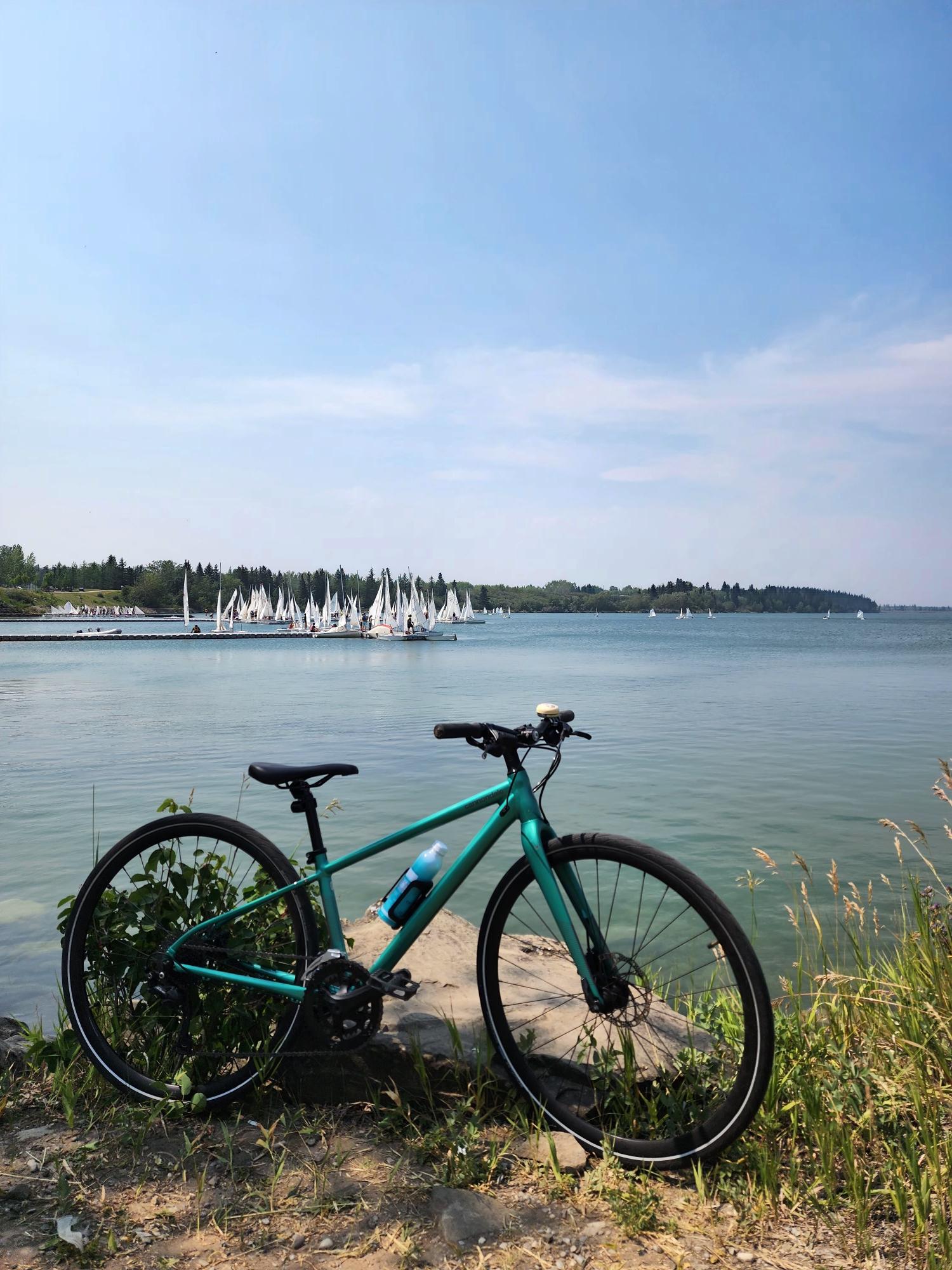 2021 Cannondale Quick Women's 3 Teal