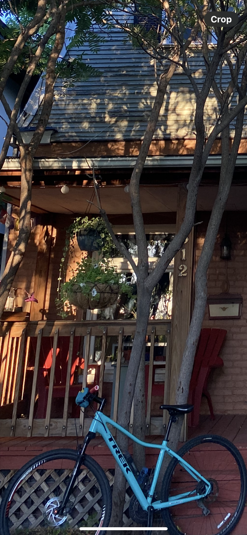 Trek Dual sport 2 Teal