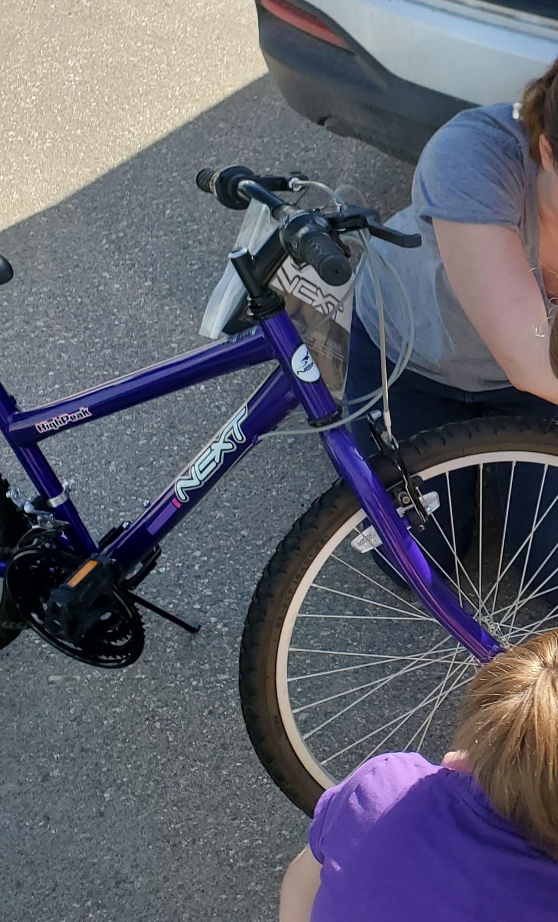 2012 Next High peak Purple