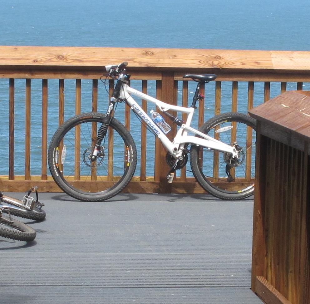 2008 Cannondale Rush Feminine, SL1, Medium Silver or Gray