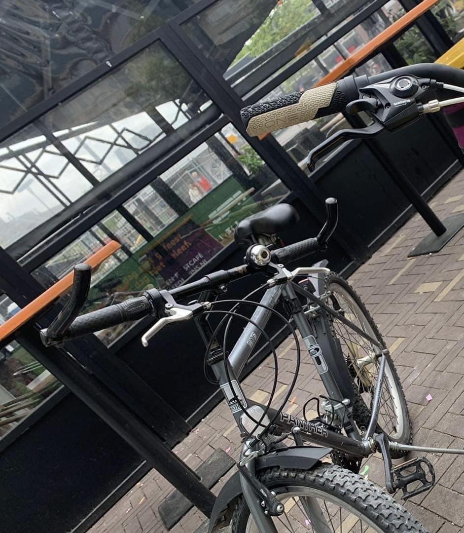 Panther Mountain bike Silver, gray or bare metal