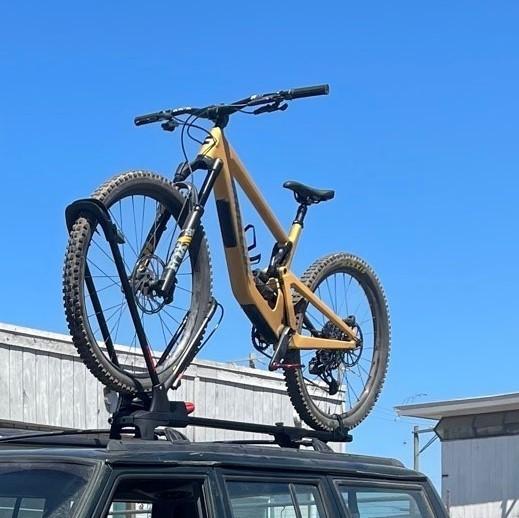 2020 Santa Cruz Bronson Yellow or Gold
