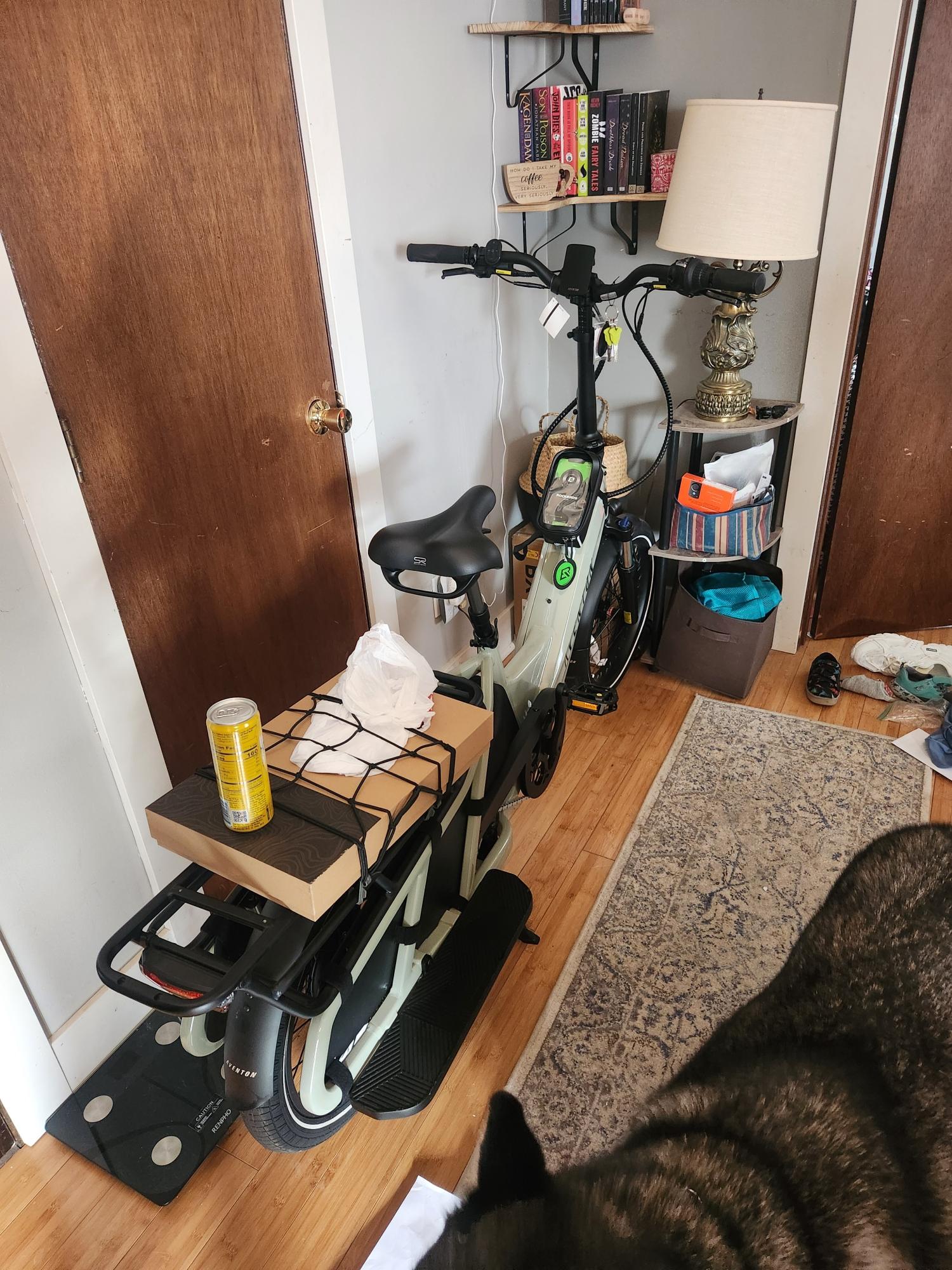 2023 Aventón Abound Green