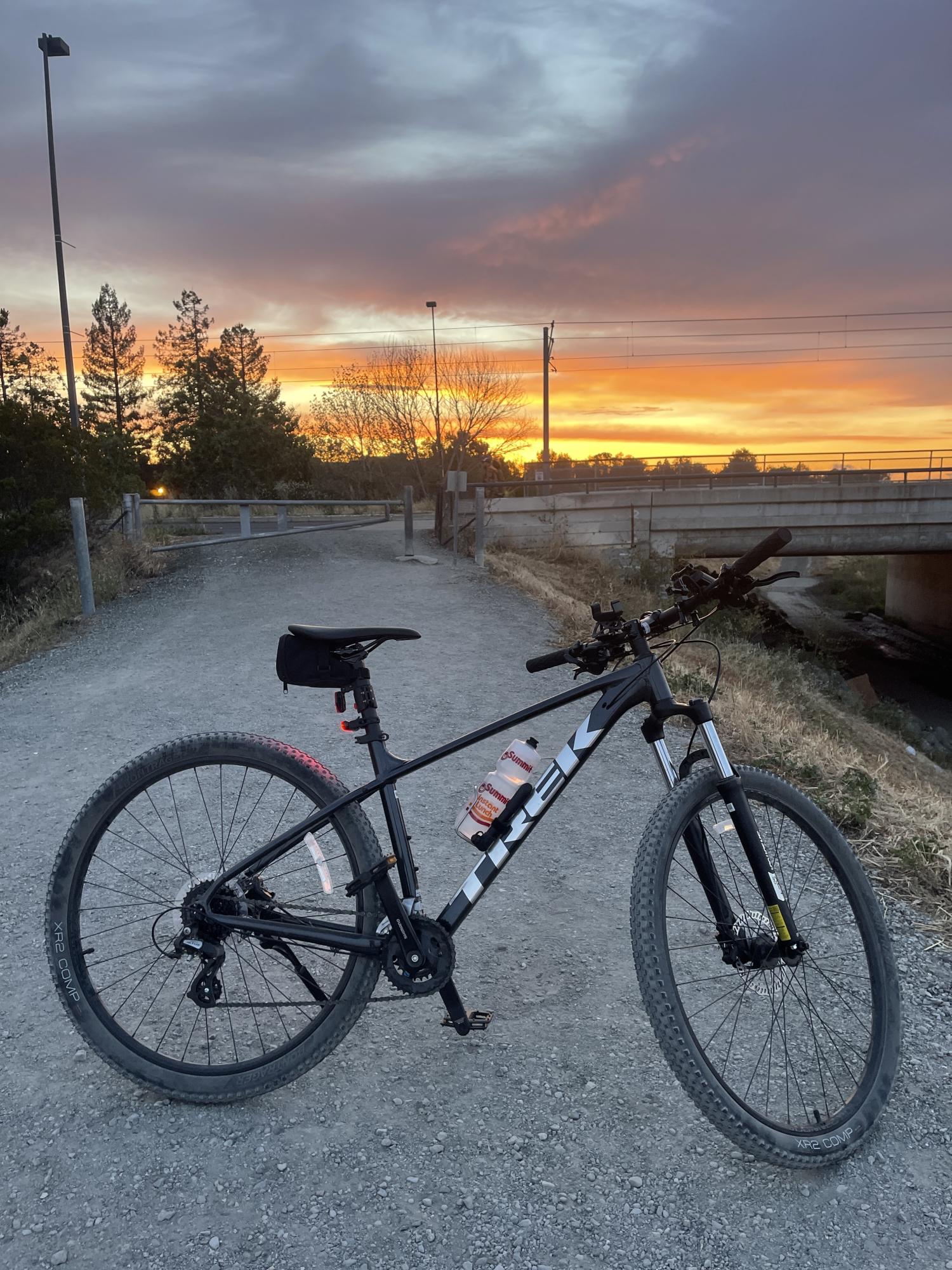 2022 Trek ML Silver, gray or bare metal