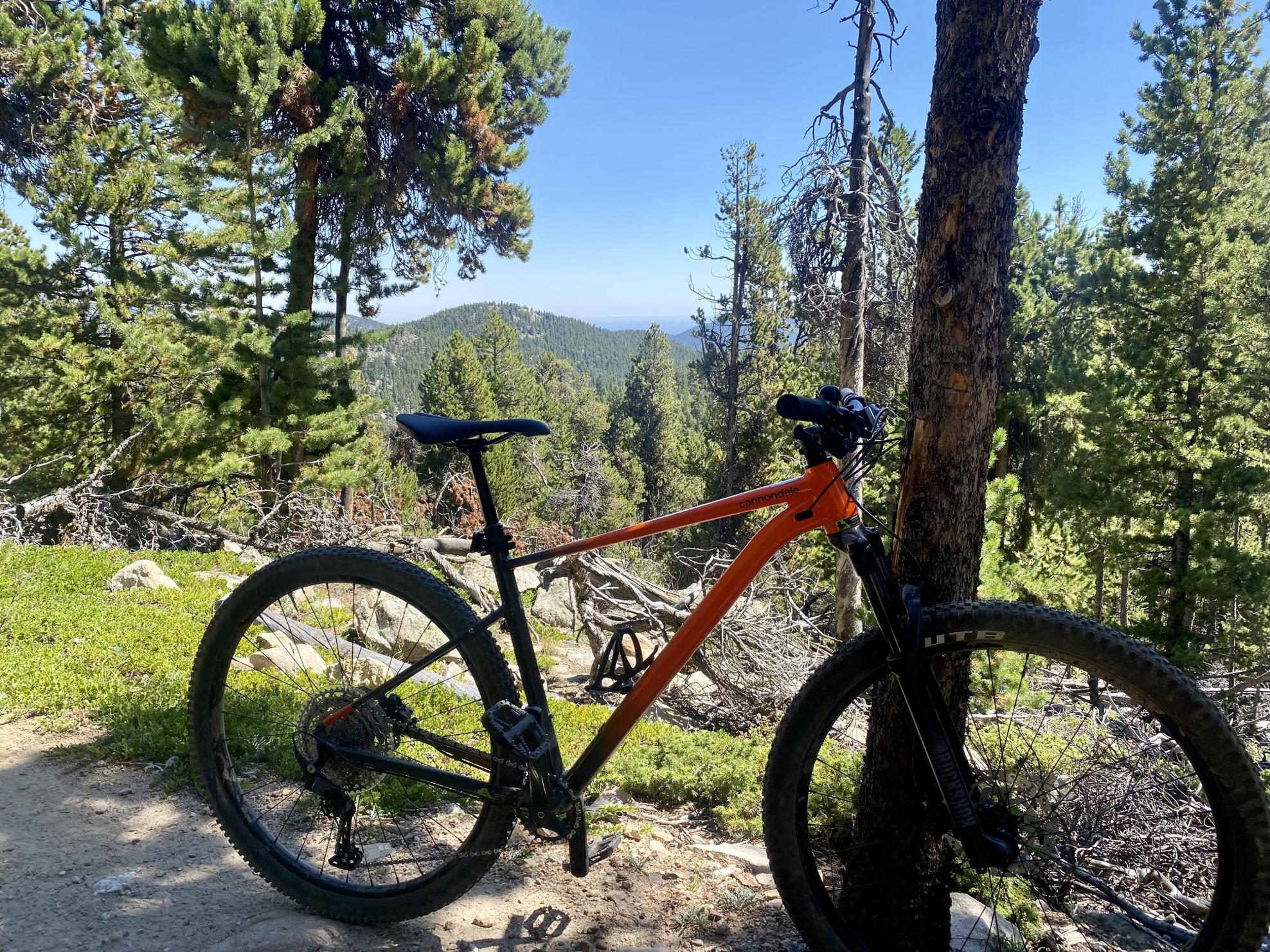 Cannondale Trail 3 SE Orange and Black