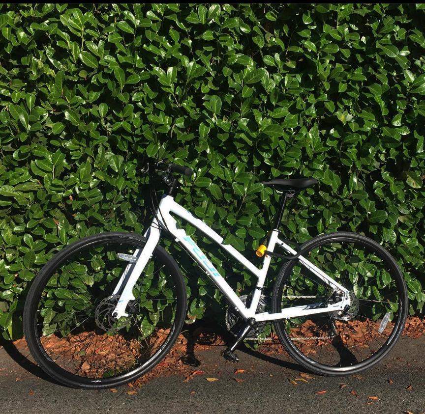 2017 Fuji Absolute White