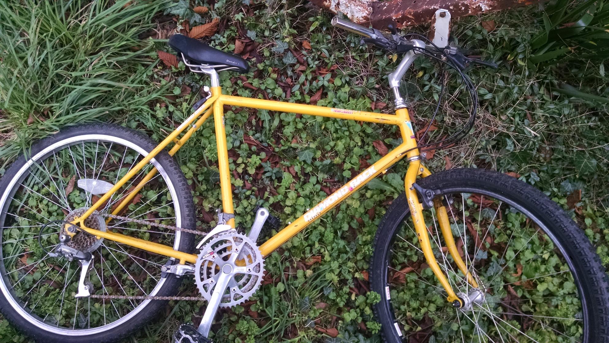 2016 Diamondback Yellow or Gold