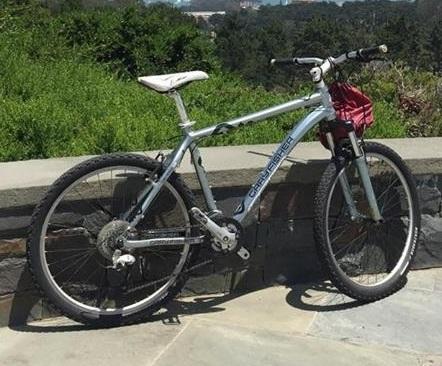 Gary Fisher Silver or Gray