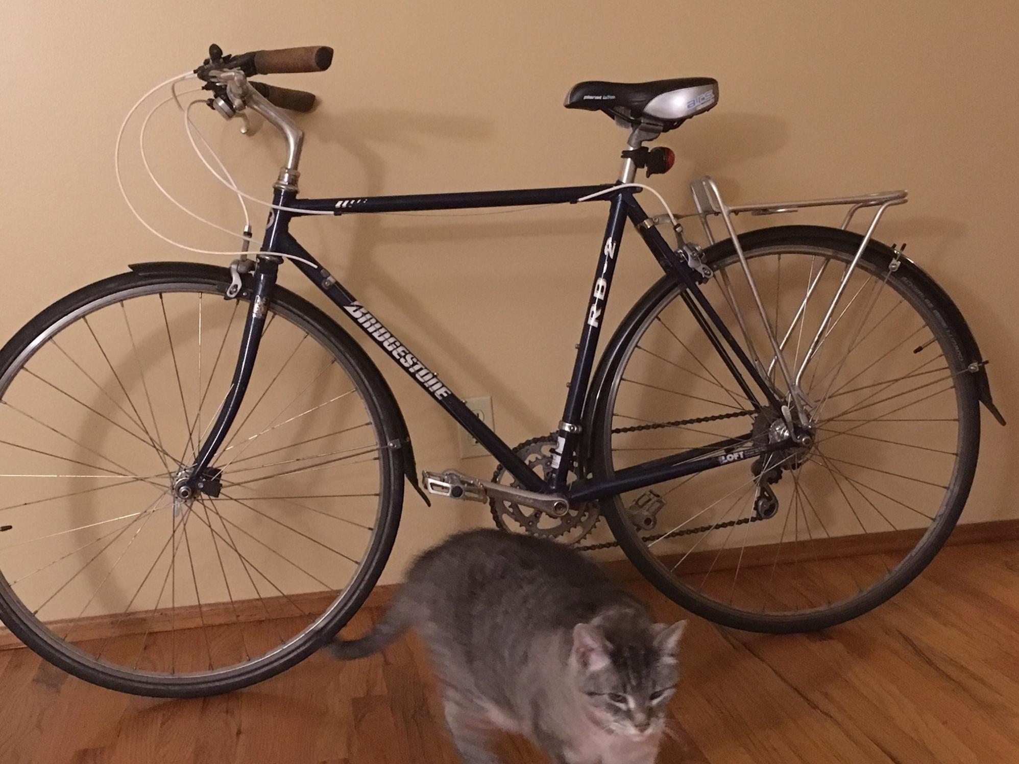 Bridgestone RB2 Blue