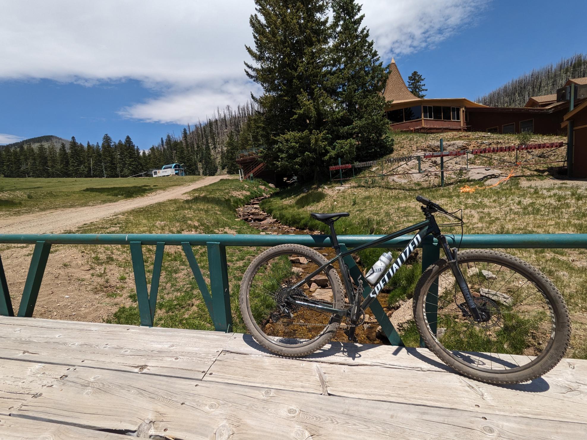 2022 Specialized Rockhopper Expert Black and Green