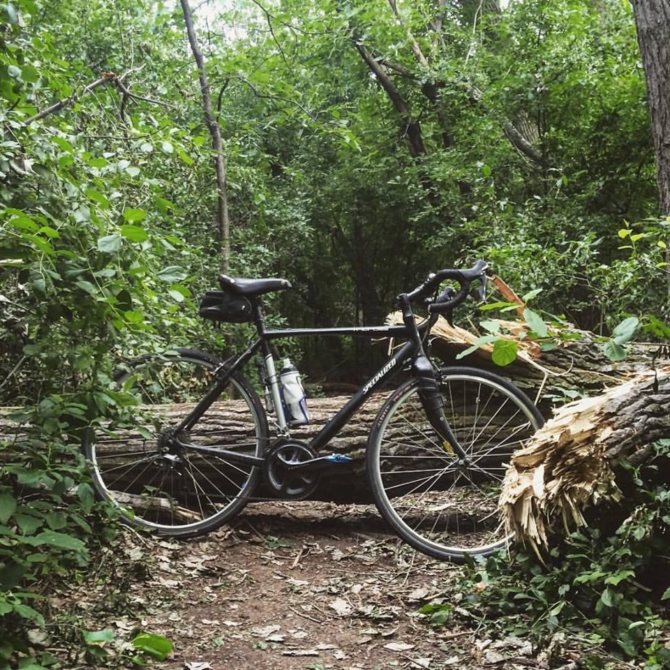 2010 Specialized Tricross Black