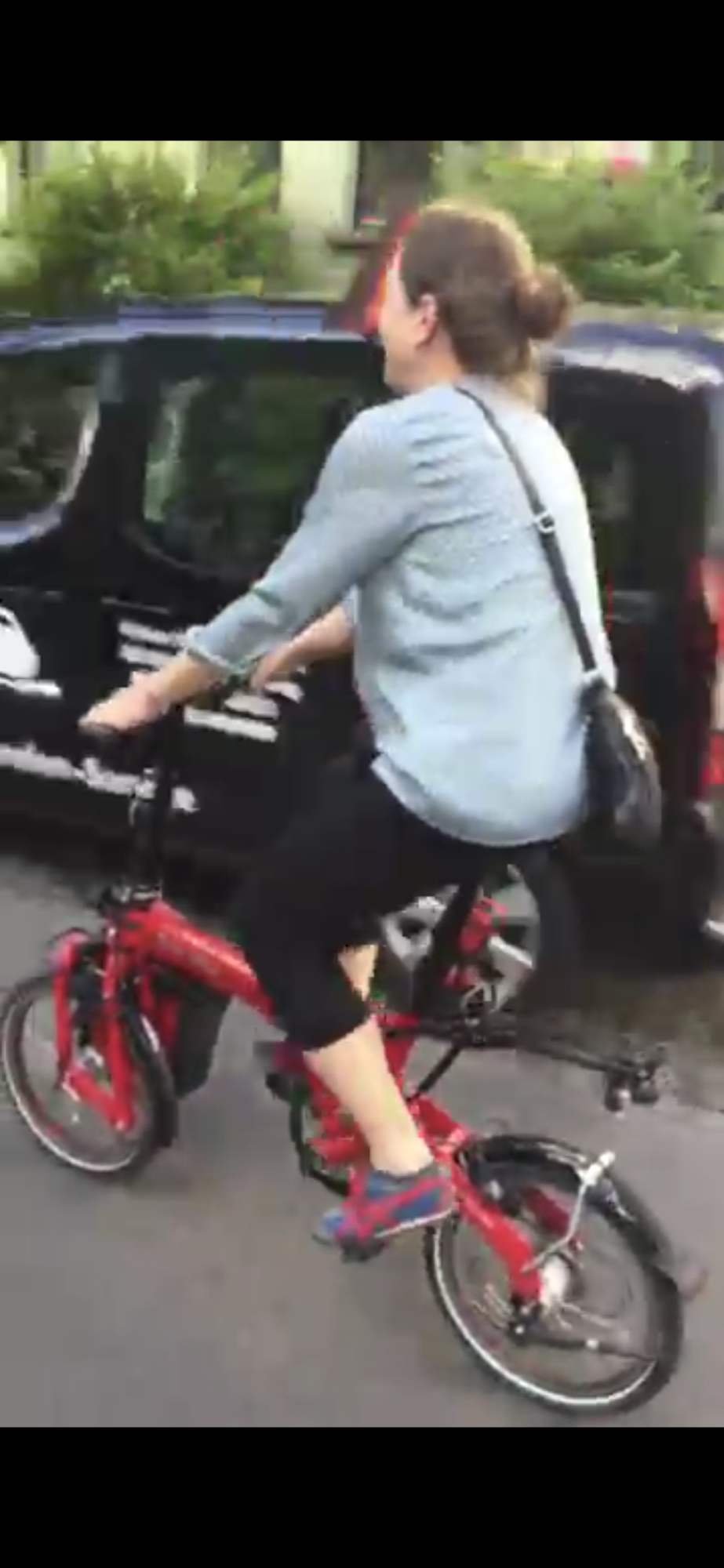 2013 Riese und Müller Birdy Red