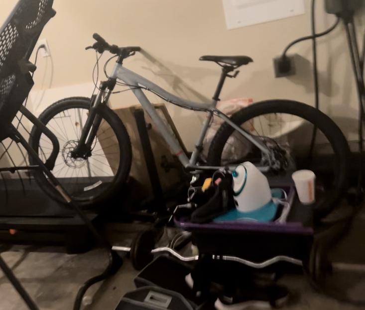 2022 REI Co-op Drt1.1 Silver, gray or bare metal