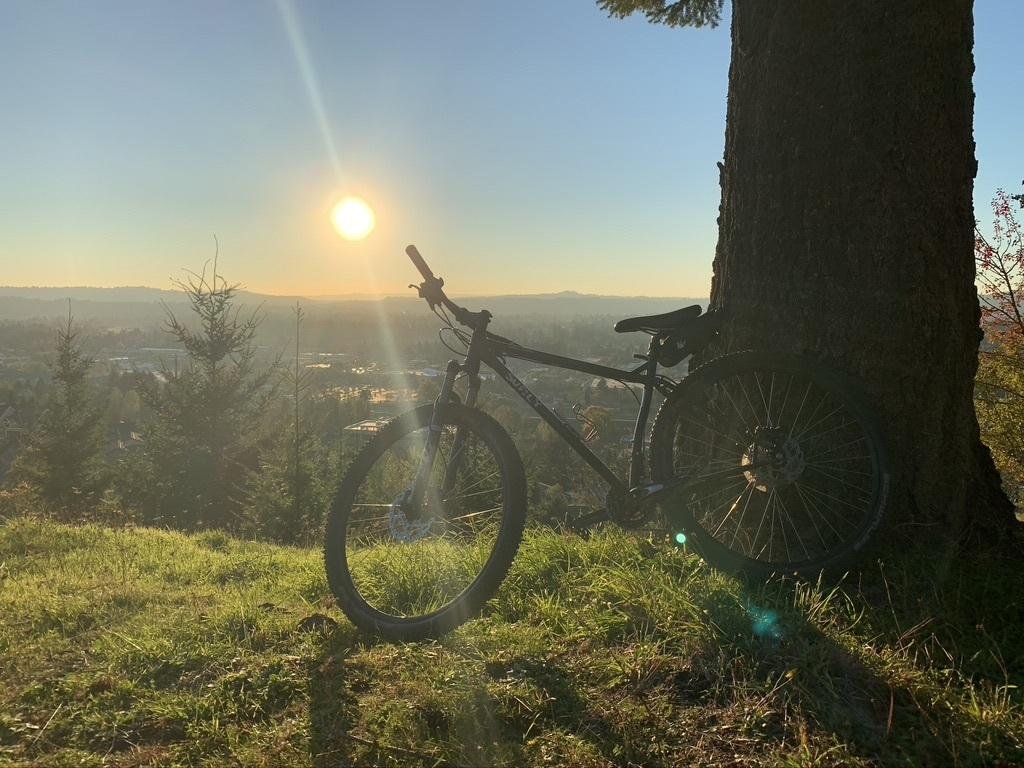 2015 Surly Karate Monkey Black