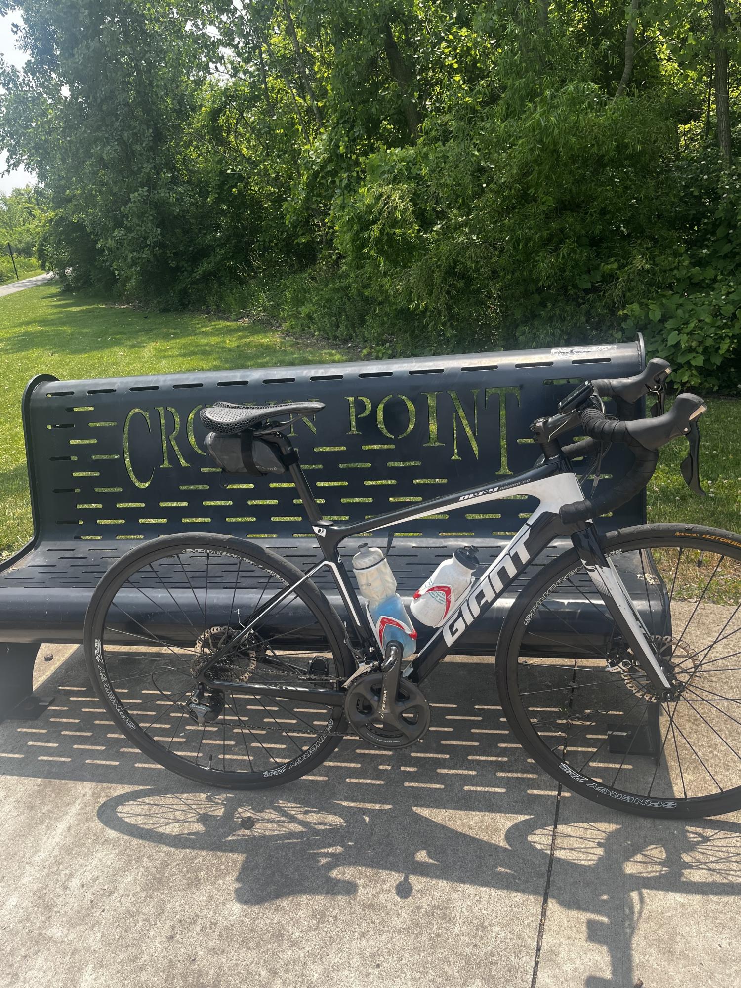 2016 Giant Defy Black and White