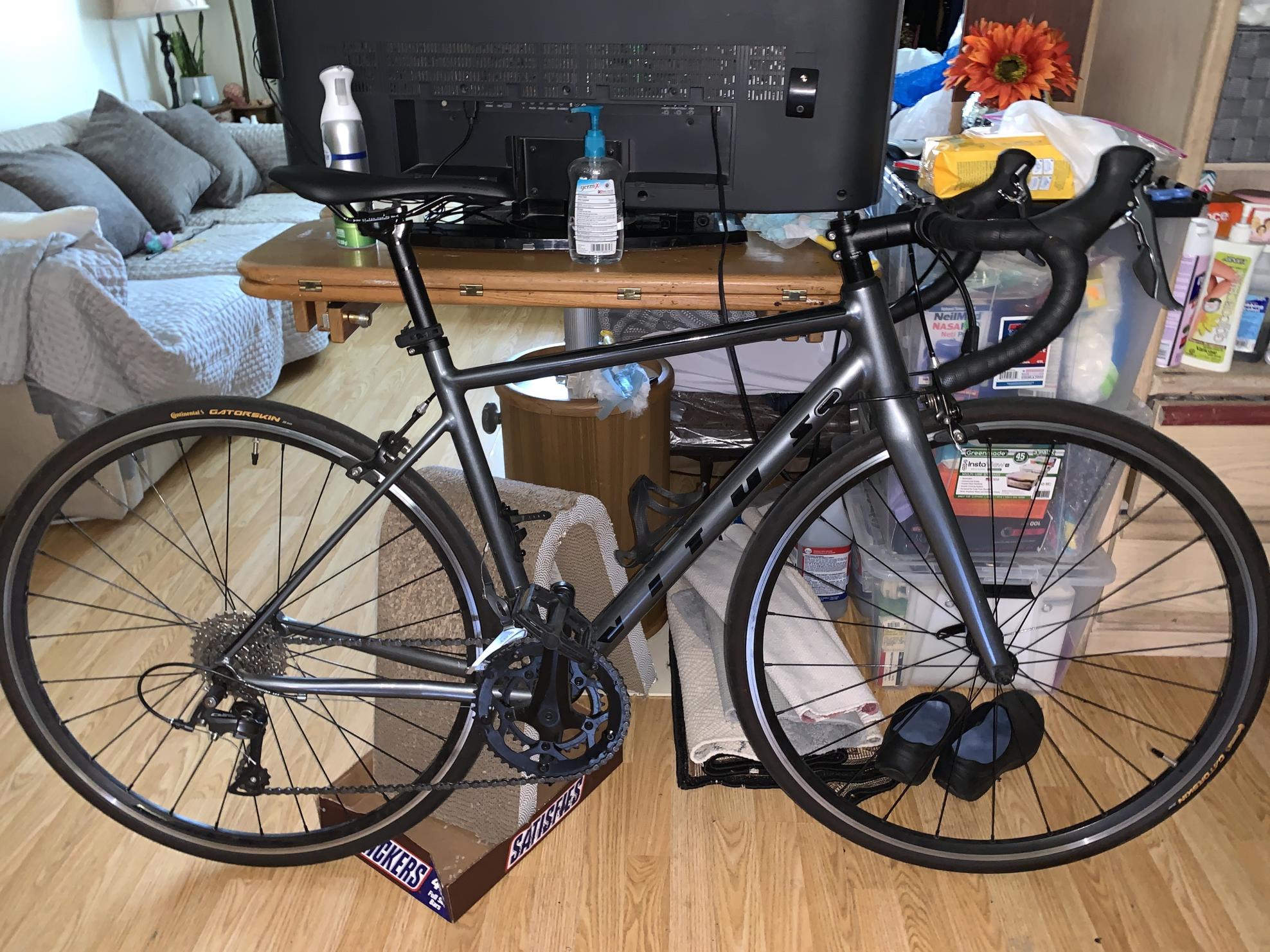 2021 Vitus Claris Silver, gray or bare metal