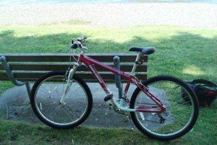 2011 Novara Pika  Black
